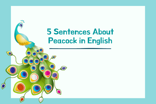 5 Sentences About Peacock in English